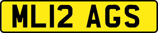 ML12AGS