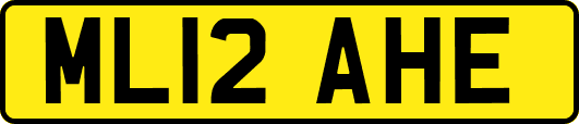 ML12AHE