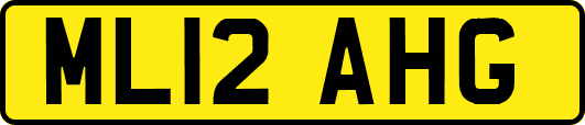 ML12AHG