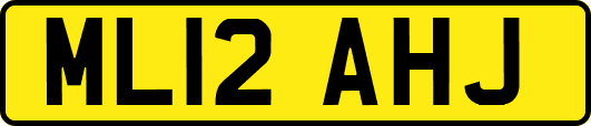 ML12AHJ