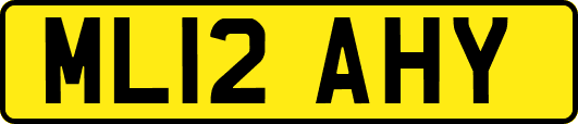 ML12AHY