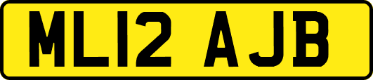 ML12AJB