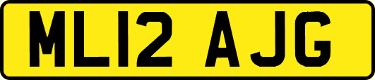 ML12AJG