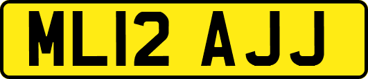 ML12AJJ