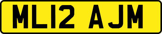 ML12AJM