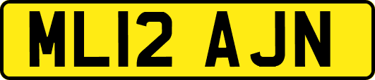 ML12AJN