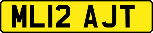 ML12AJT
