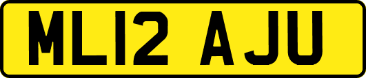 ML12AJU