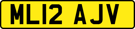 ML12AJV