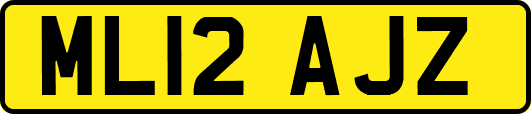 ML12AJZ