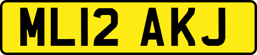 ML12AKJ