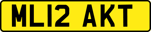 ML12AKT