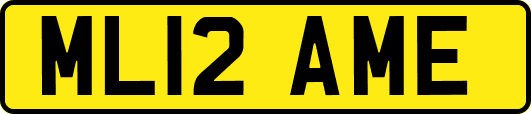ML12AME
