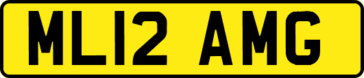 ML12AMG