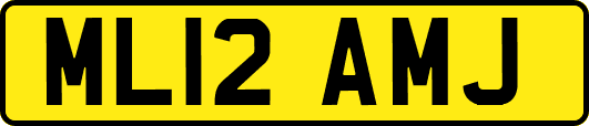 ML12AMJ
