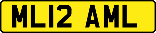 ML12AML