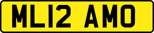 ML12AMO