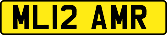 ML12AMR