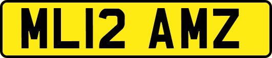 ML12AMZ