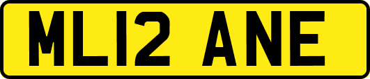 ML12ANE