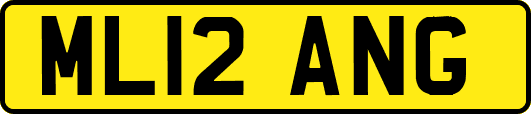 ML12ANG