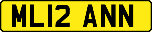 ML12ANN