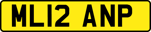 ML12ANP
