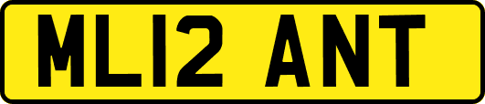 ML12ANT