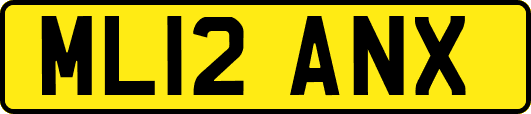 ML12ANX