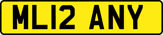 ML12ANY