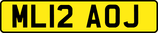 ML12AOJ