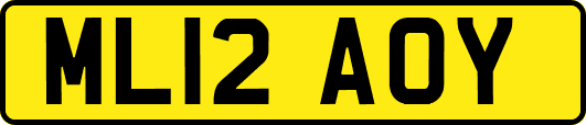 ML12AOY