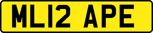 ML12APE