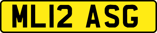 ML12ASG
