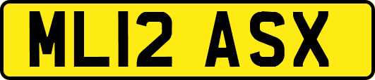 ML12ASX