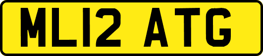 ML12ATG