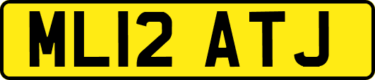 ML12ATJ