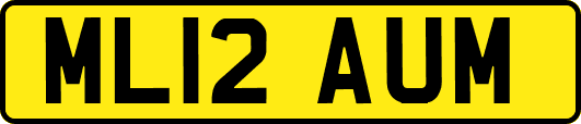 ML12AUM