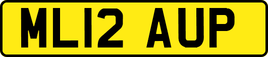 ML12AUP