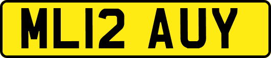 ML12AUY