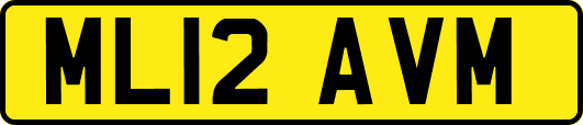 ML12AVM