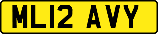 ML12AVY