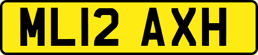 ML12AXH