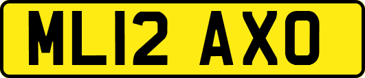 ML12AXO