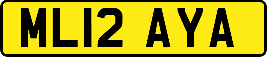 ML12AYA