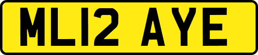 ML12AYE