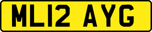 ML12AYG