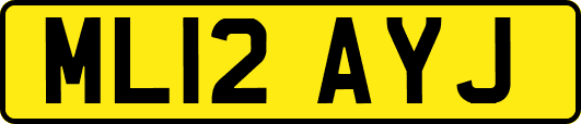 ML12AYJ