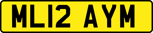 ML12AYM