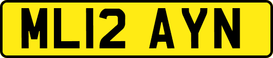 ML12AYN